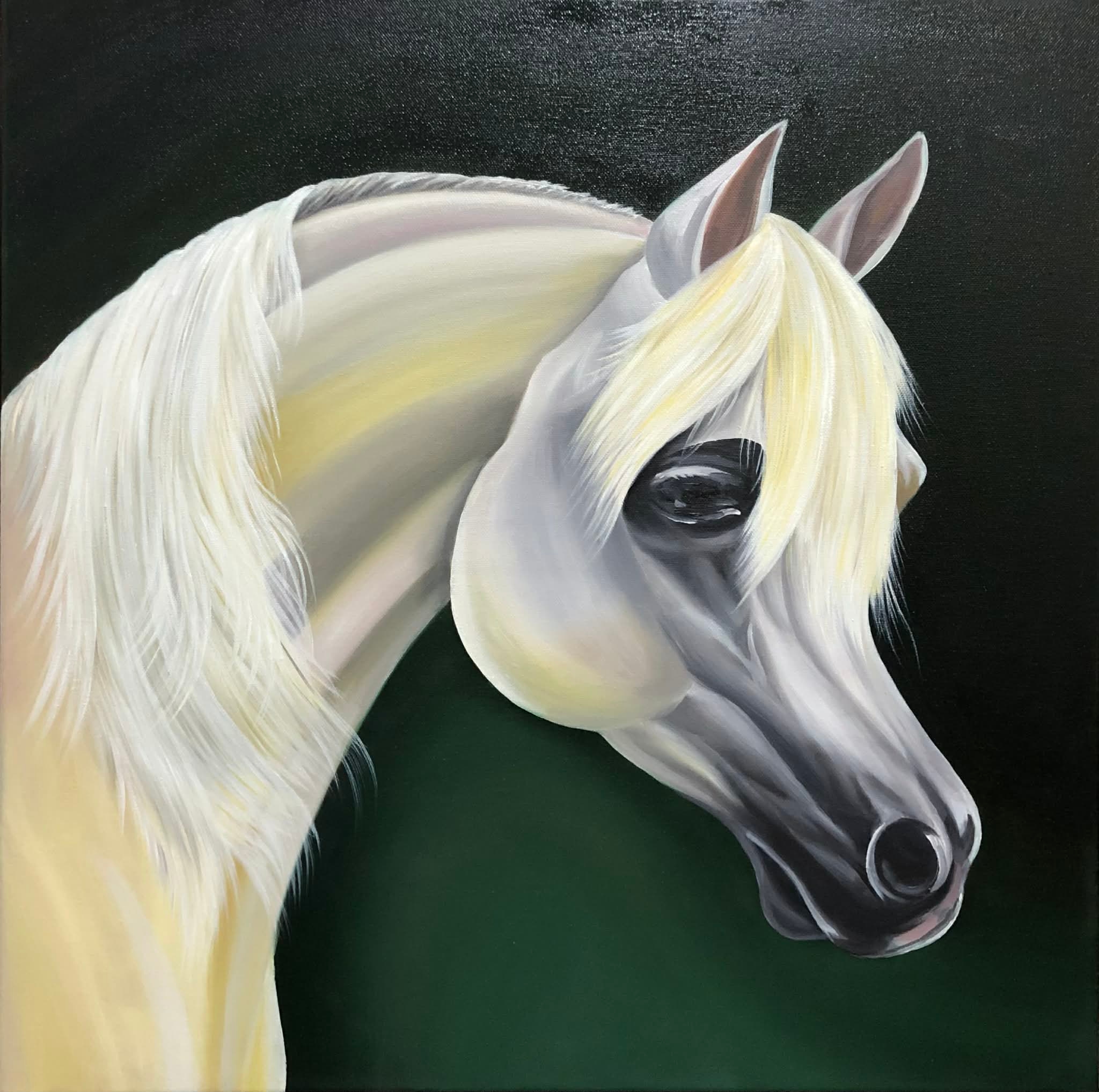 عاشق الخيل العربي